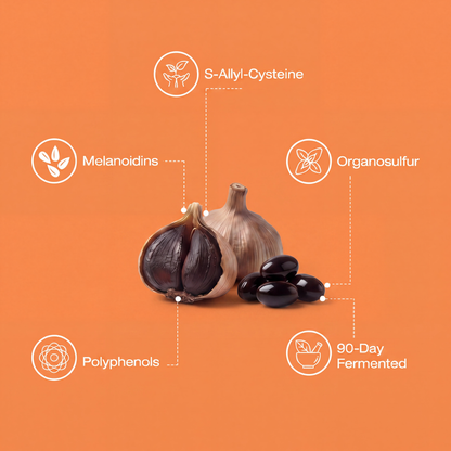 Fermented Black Garlic Extract